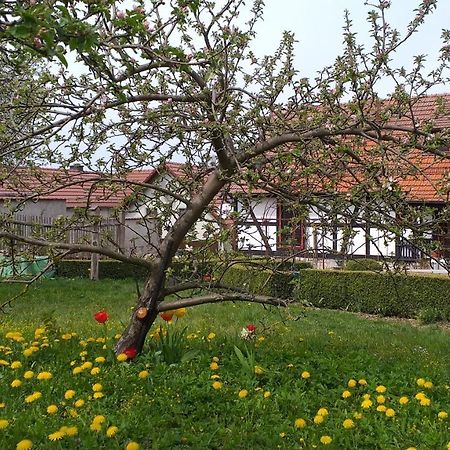 Pension Toepferhof Bad Berka Exterior photo