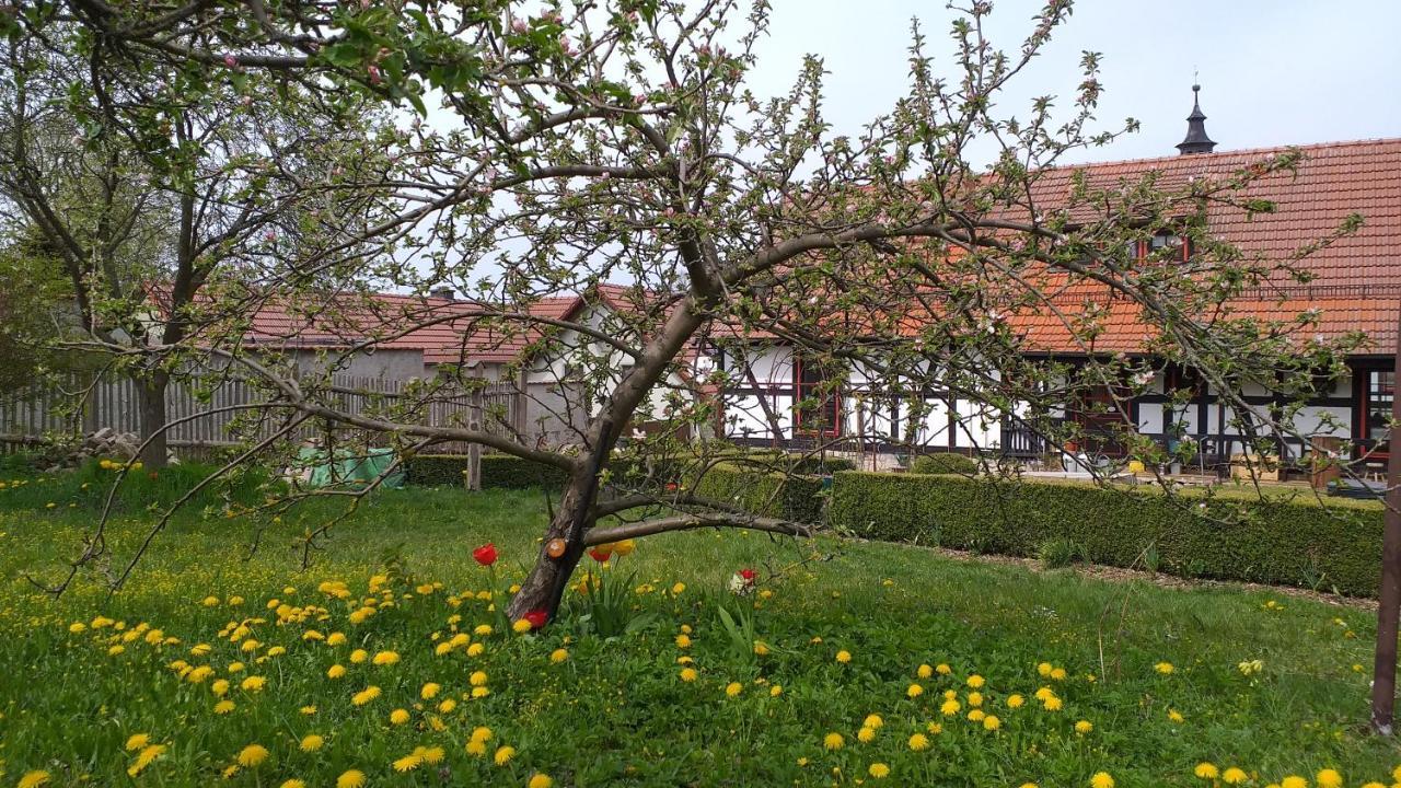 Pension Toepferhof Bad Berka Exterior photo